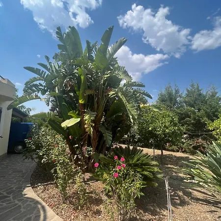 Apartamento Cherry House